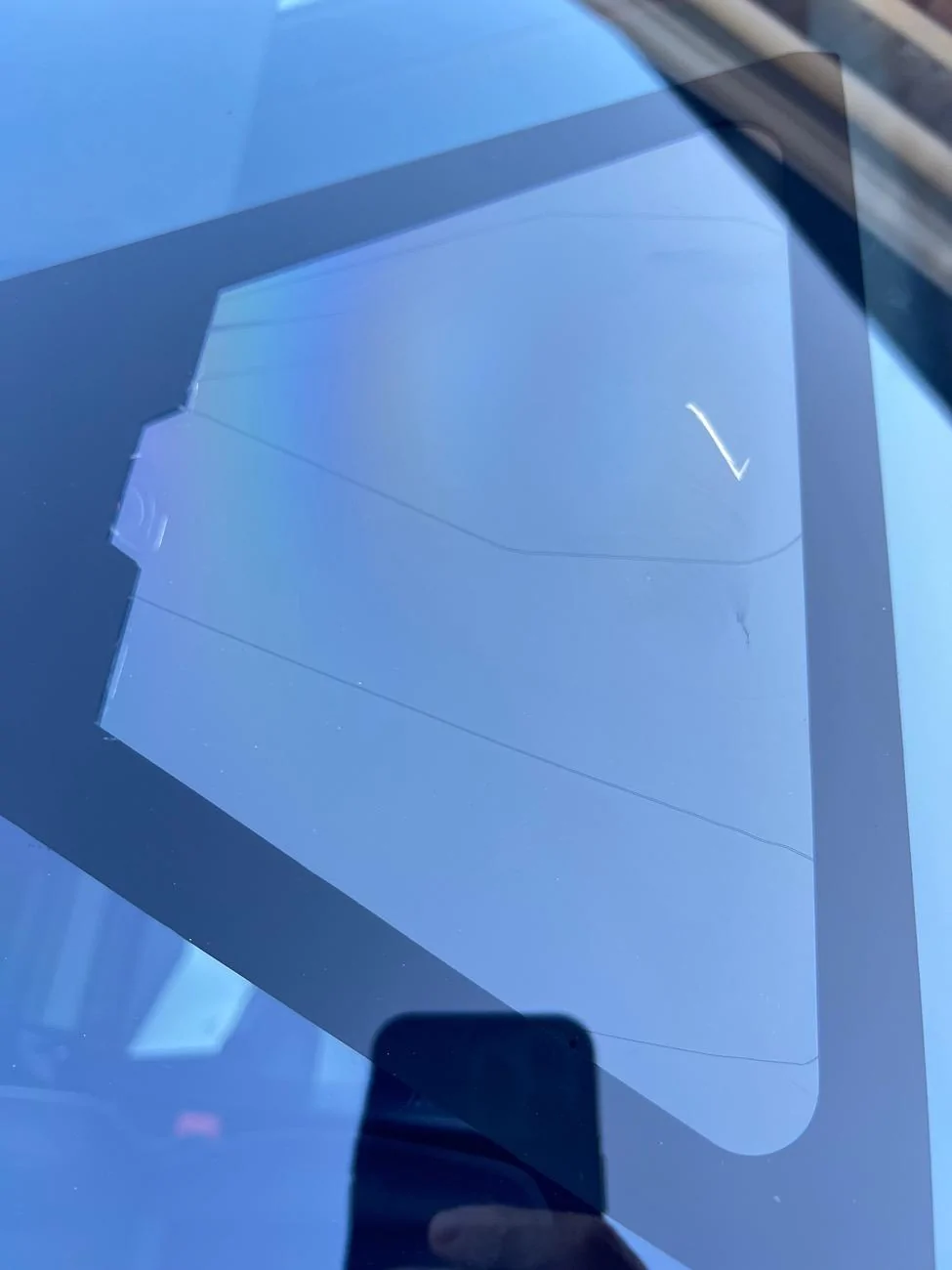 Tesla Cybertruck Leaf between window and rear view mirror cover. IMG_0454