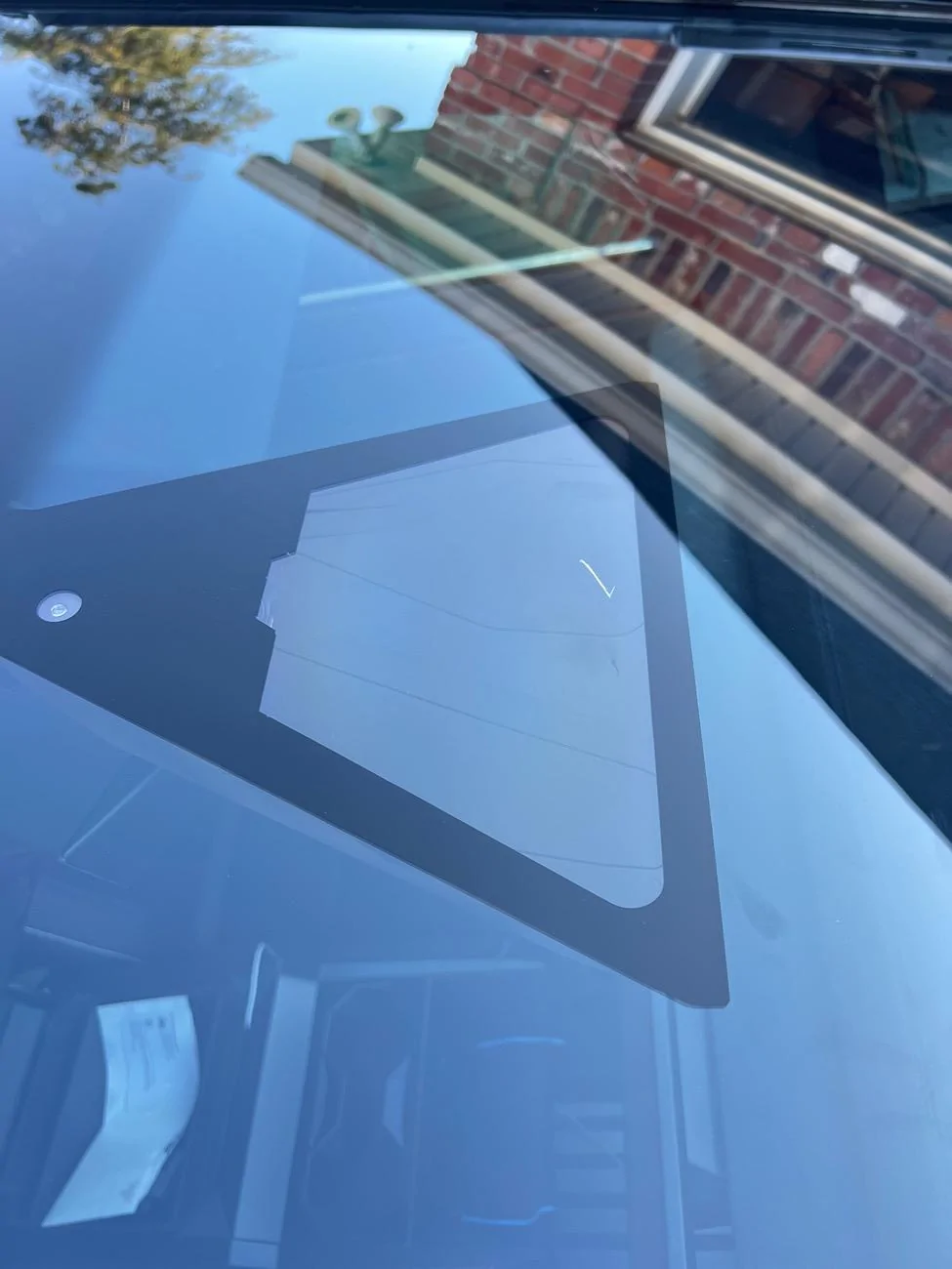 Tesla Cybertruck Leaf between window and rear view mirror cover. IMG_0455