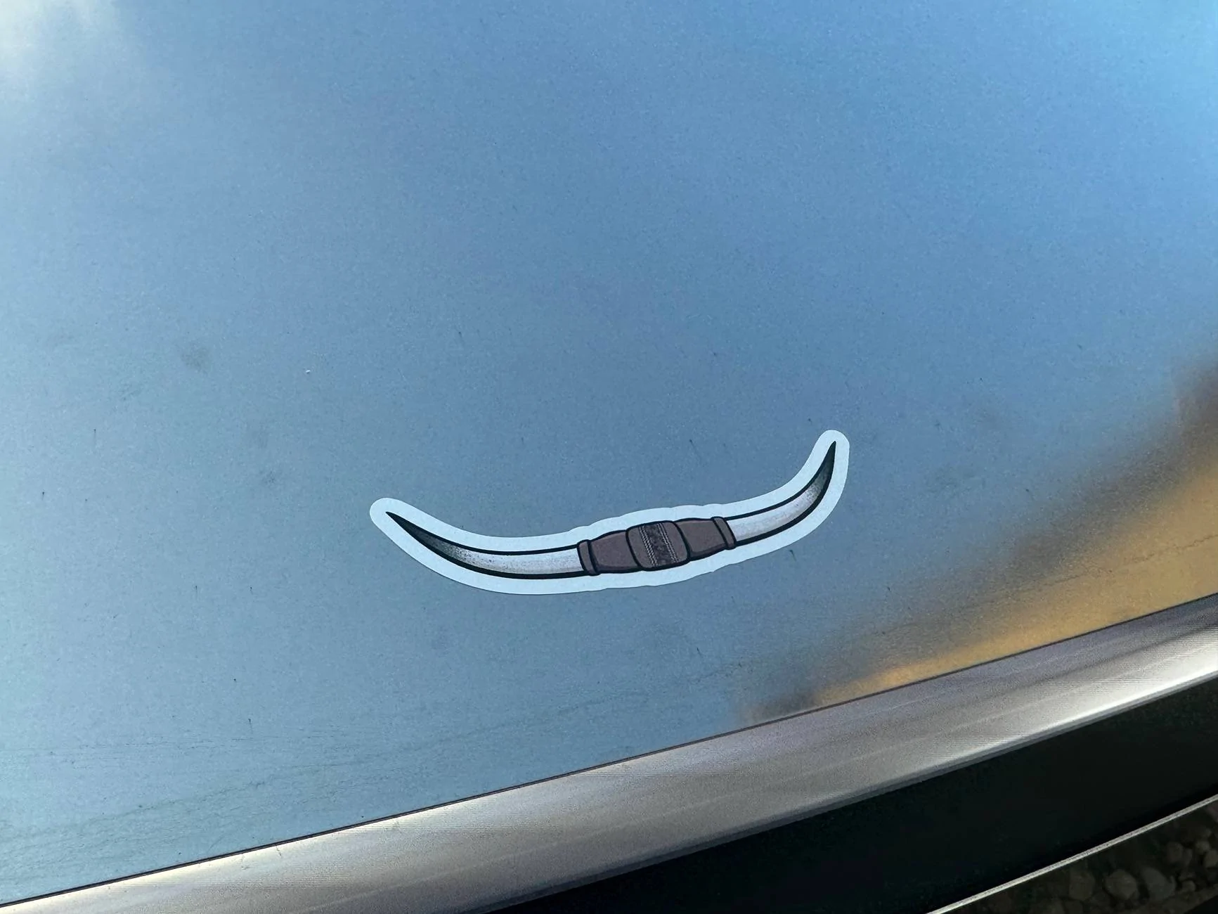Tesla Cybertruck Bull horns on my truck IMG_8554
