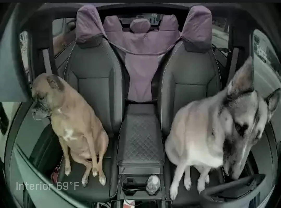 Tesla Cybertruck Options for carrying 2 Dogs in Cybertruck? Screenshot_2024-08-08-16-58-13-51_dea0ed4dc7fea9051b966dd91d80d9a