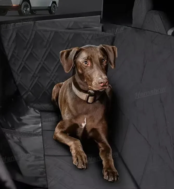 Tesla Cybertruck Will you let your dog sit directly in the rear seat of your cybertruck? 1726136469645-