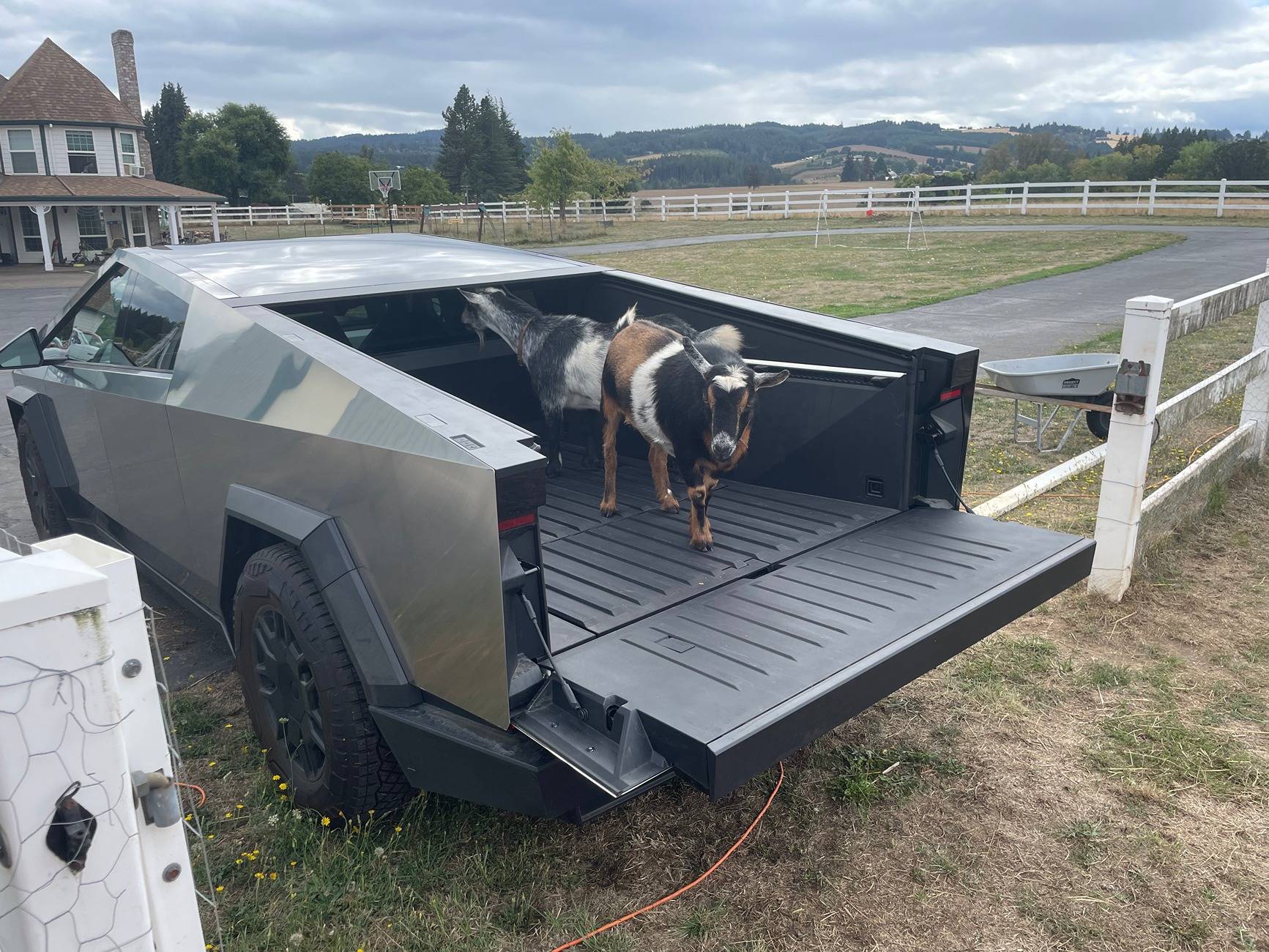 Tesla Cybertruck 🦾 Cybertruck doing truck stuff!  Post your photos! image_50402049.JPG