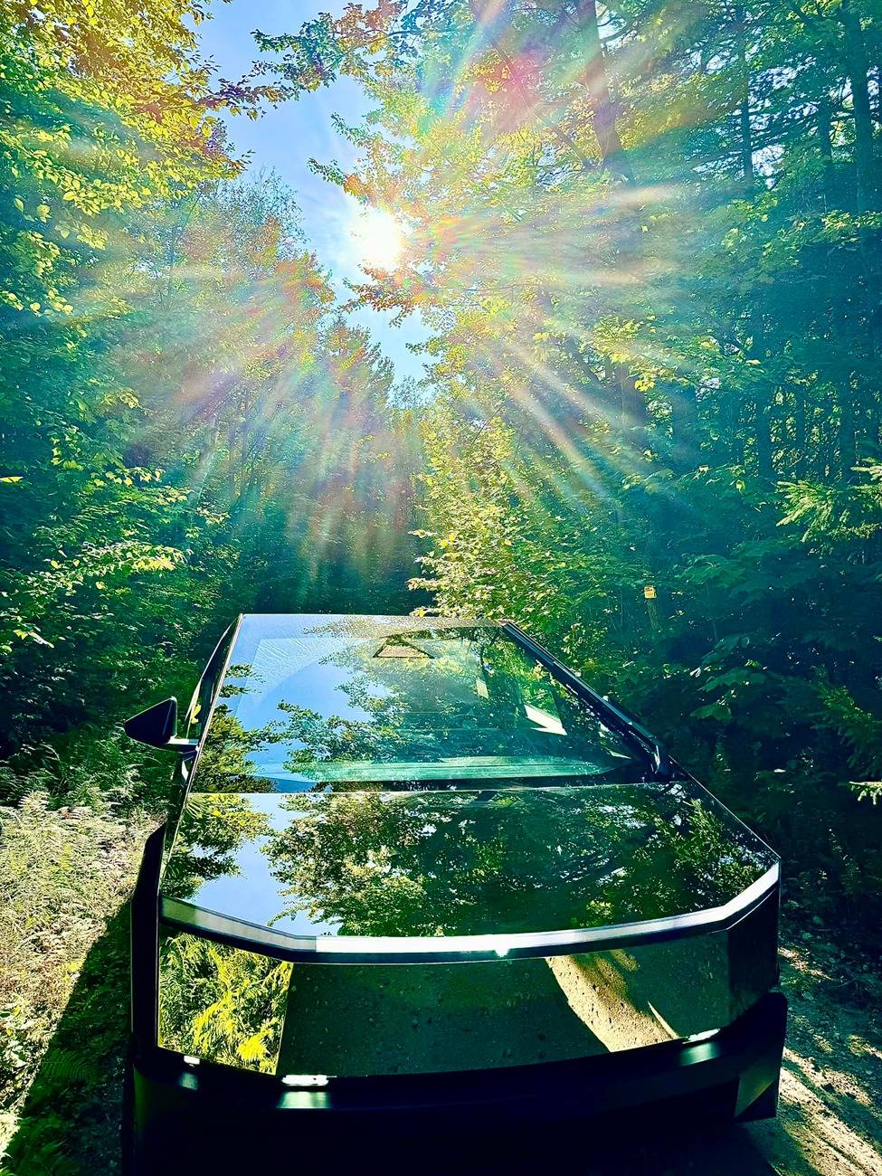 Tesla Cybertruck CHROME Vinyl Wrap PPF & MIRROR Polished Cybertruck -- Photos & Videos mirror polished cybertruck woods forest
