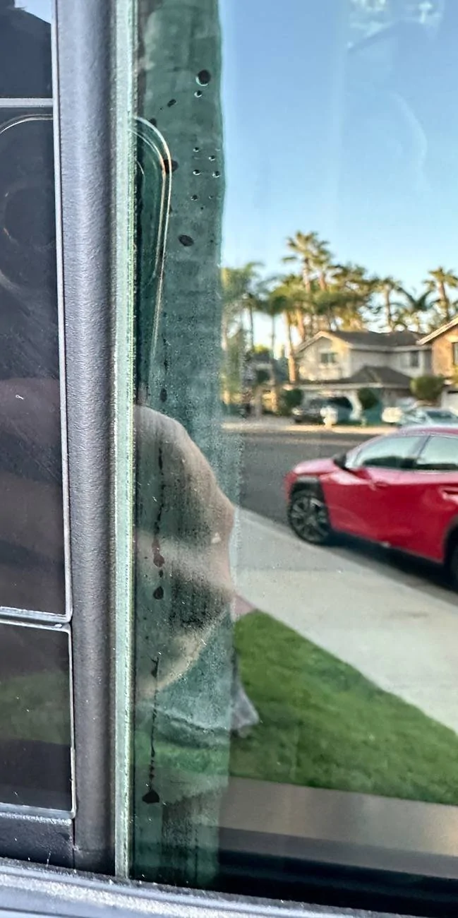 Tesla Cybertruck Moisture inside window after car wash - faulty window seals? IMG_2977