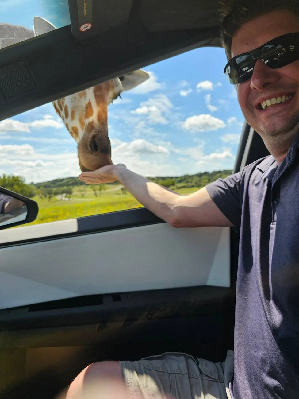 Tesla Cybertruck Ostrich 'Attack' on Cybertruck - Fossil Rim Wildlife Park - Glen Rose,TX 20240922_134157