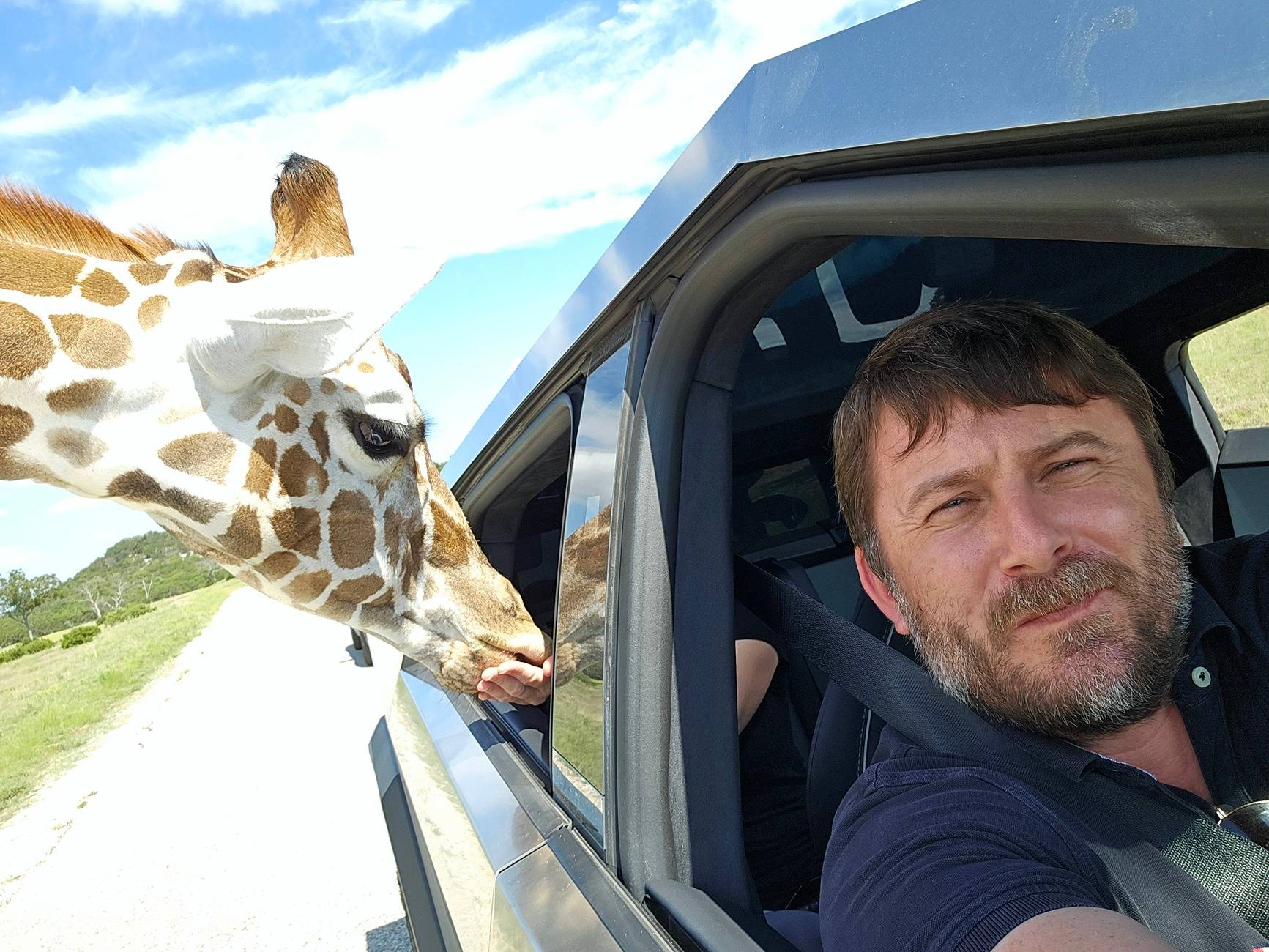 Tesla Cybertruck Ostrich 'Attack' on Cybertruck - Fossil Rim Wildlife Park - Glen Rose,TX 20240922_133935