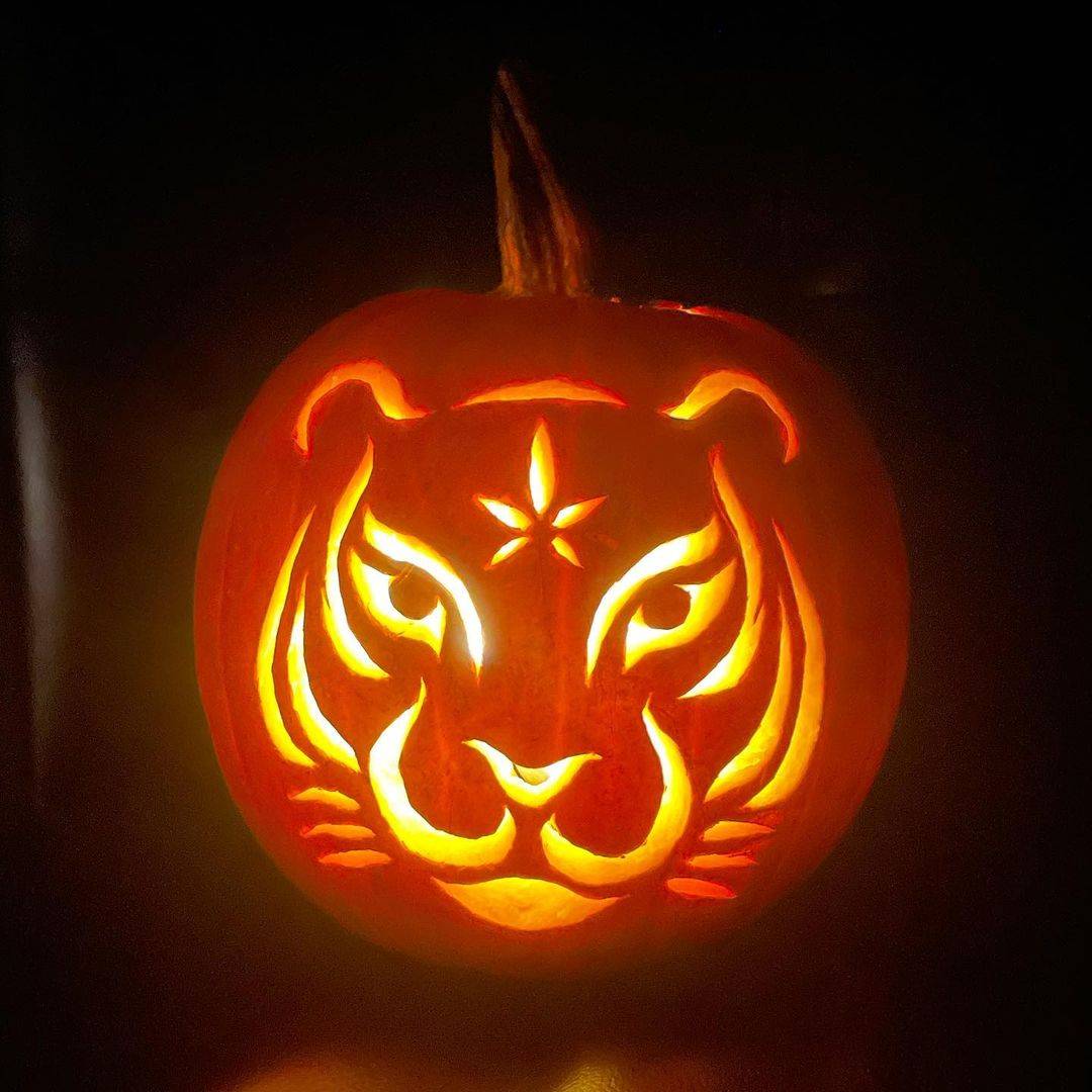 Tesla Cybertruck 🎃 Halloween Cybertrucks! 👻 Snapinsta.app_395787520_638917648442470_3192972388344012796_n_1080