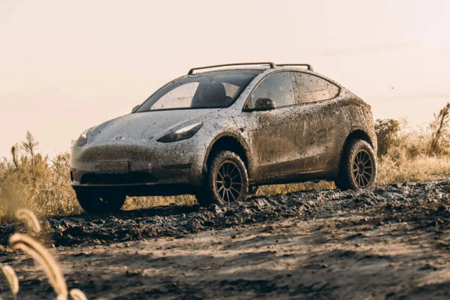 Tesla Cybertruck Buying a Model Y.  Website community suggestions? IMG_1116