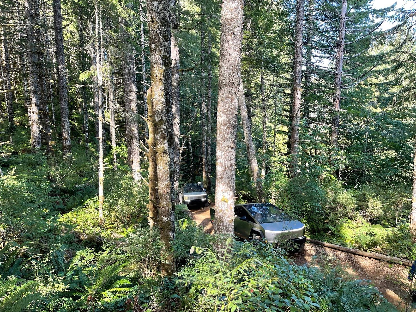 Tesla Cybertruck Offroad Rally by 8 Cybertrucks in Tillamook, Oregon 📐 8