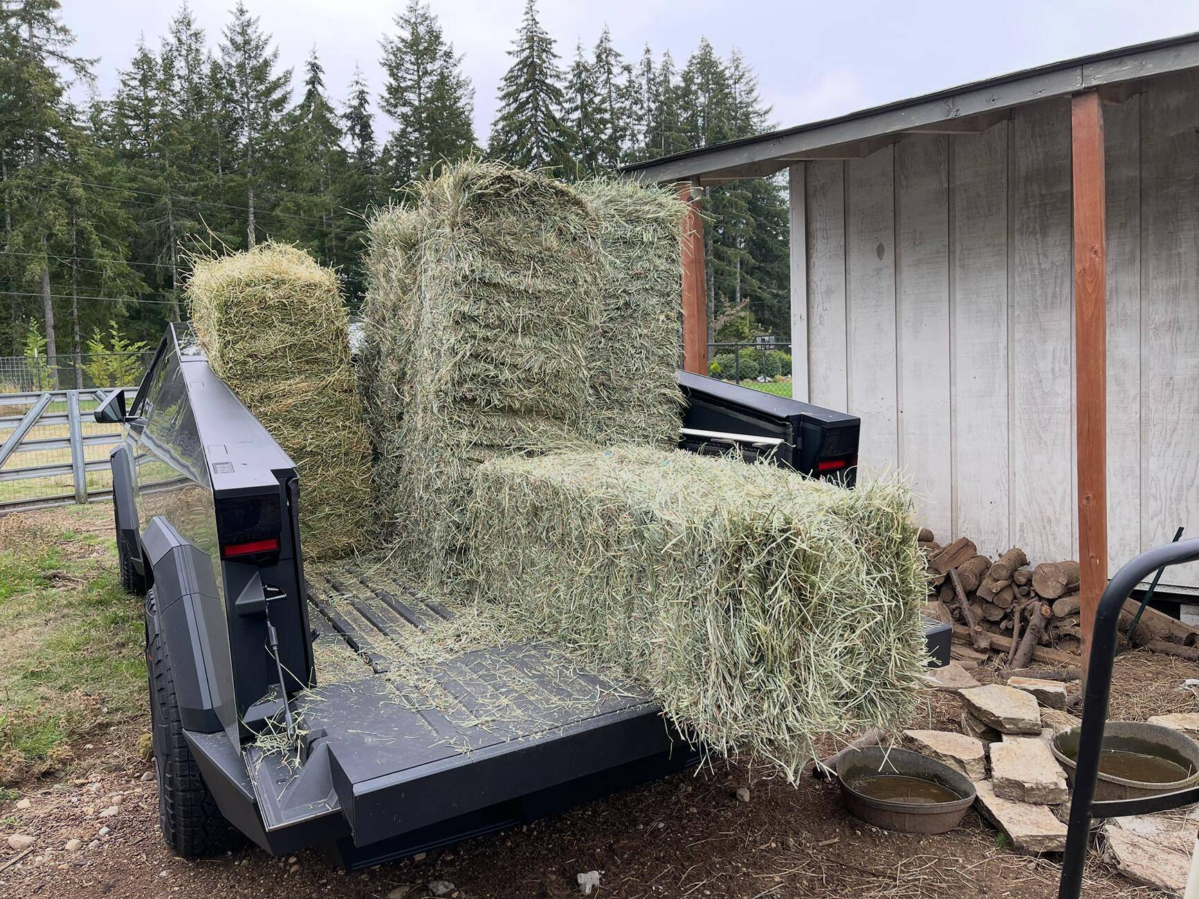 Tesla Cybertruck What Are You Hauling in your Cybertruck? 🦾 👷‍♂️ IMG_0684