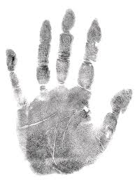 Tesla Cybertruck A list of unusual behaviors around your CT hand