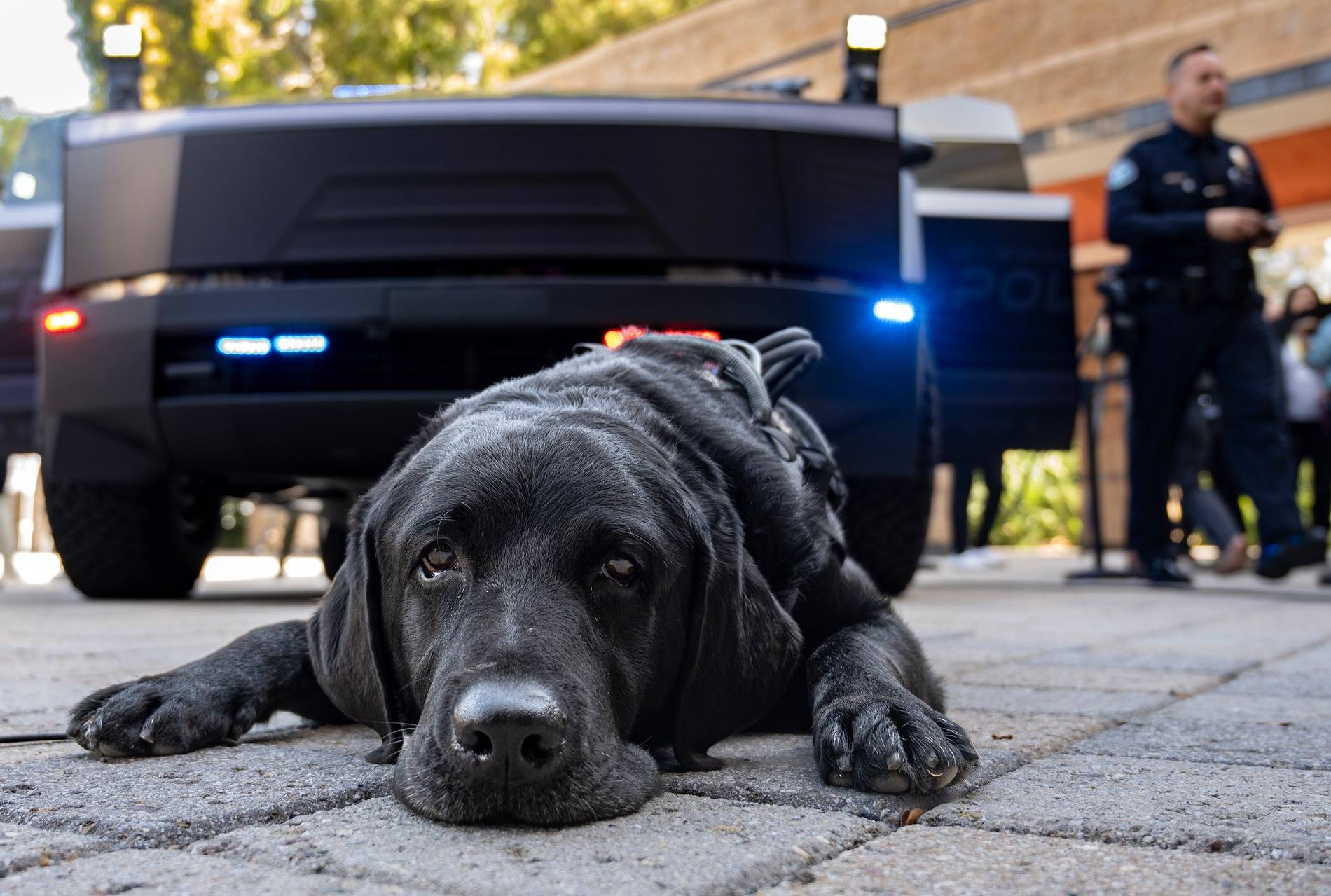 Tesla Cybertruck Irvine Police Cybertruck Revealed! Upfit build by Unplugged Performance OCR-L-CYBERTRUCK-1009-03-MS (1)