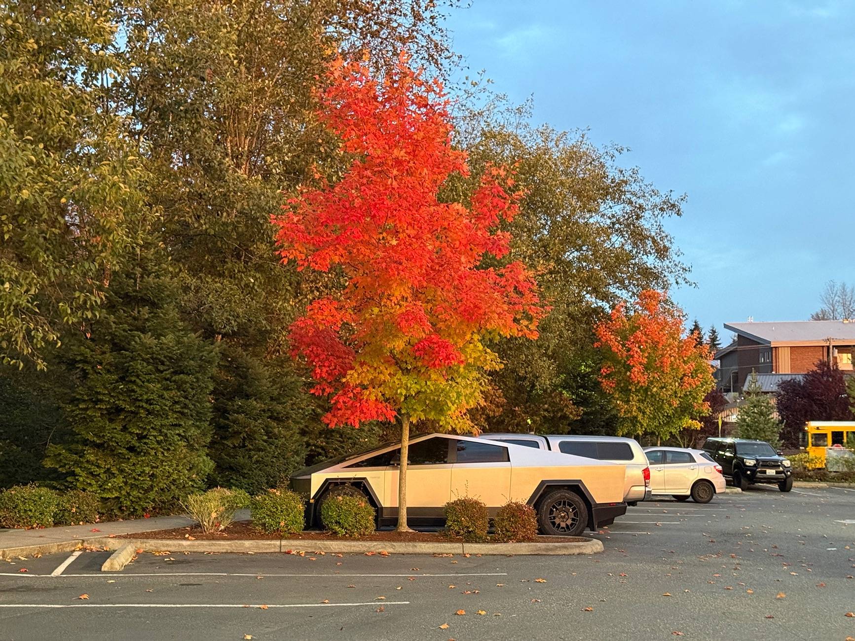 Tesla Cybertruck Show off your Cybertruck in fall colors IMG_1557