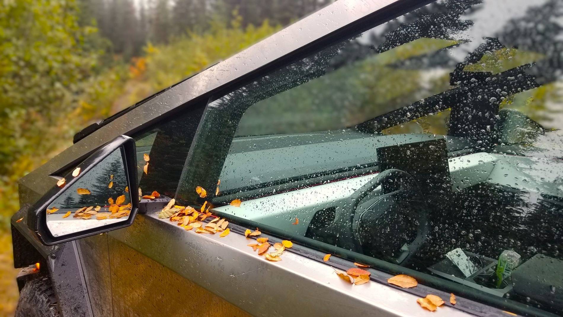 Tesla Cybertruck Show off your Cybertruck in fall colors 20241015_130924adsm