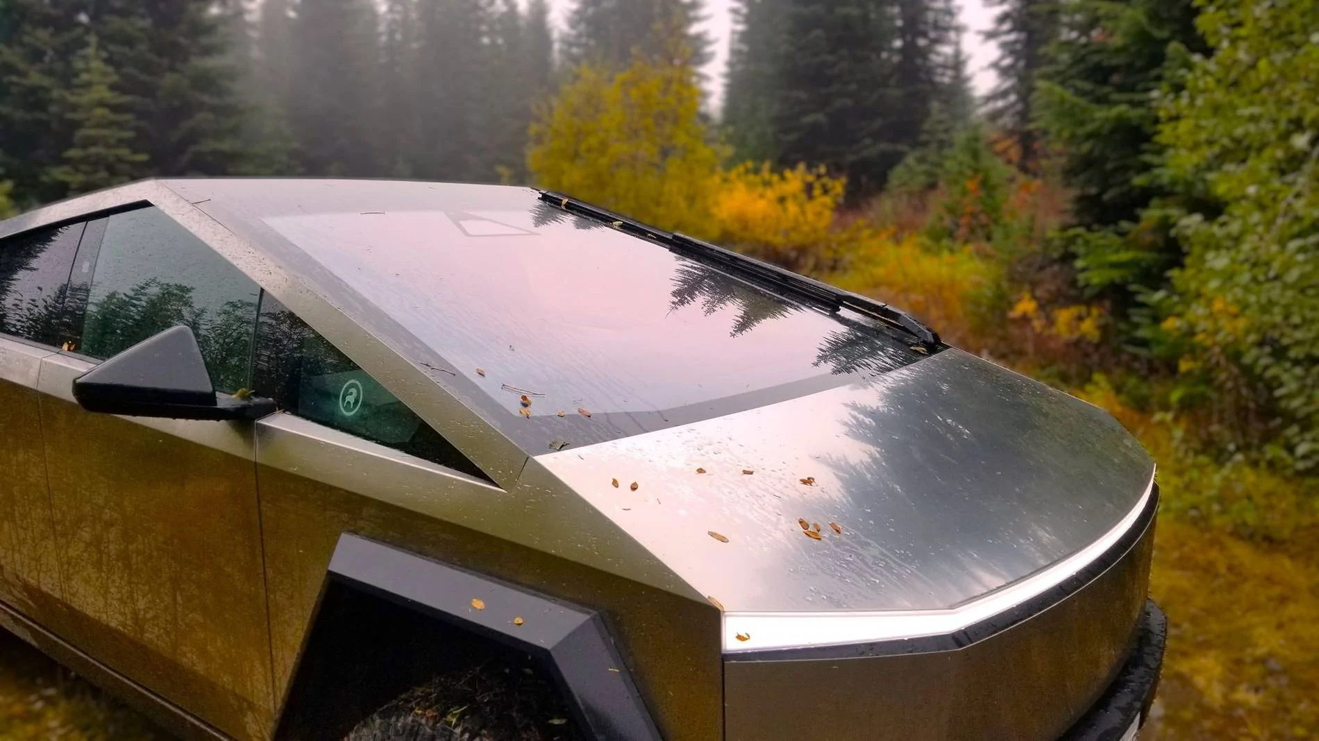Tesla Cybertruck Show off your Cybertruck in fall colors 20241015_130808adsm
