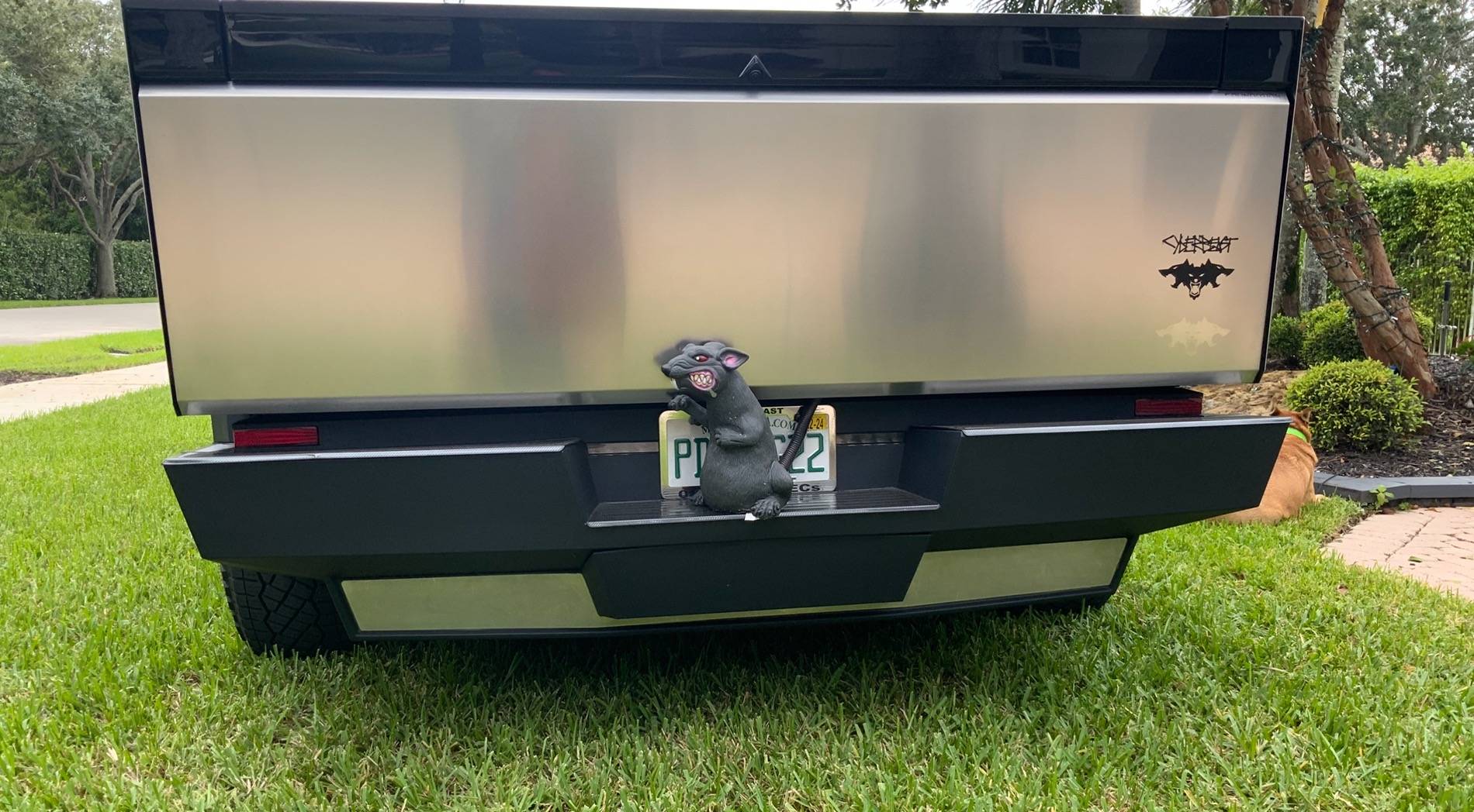 Tesla Cybertruck 🎃🕸️🐉 GIVEAWAY RealWheels EV Cybertruck of the Month Contest (RWCev CTOTM) - October 2024 🐉🕸️🎃 IMG_1990
