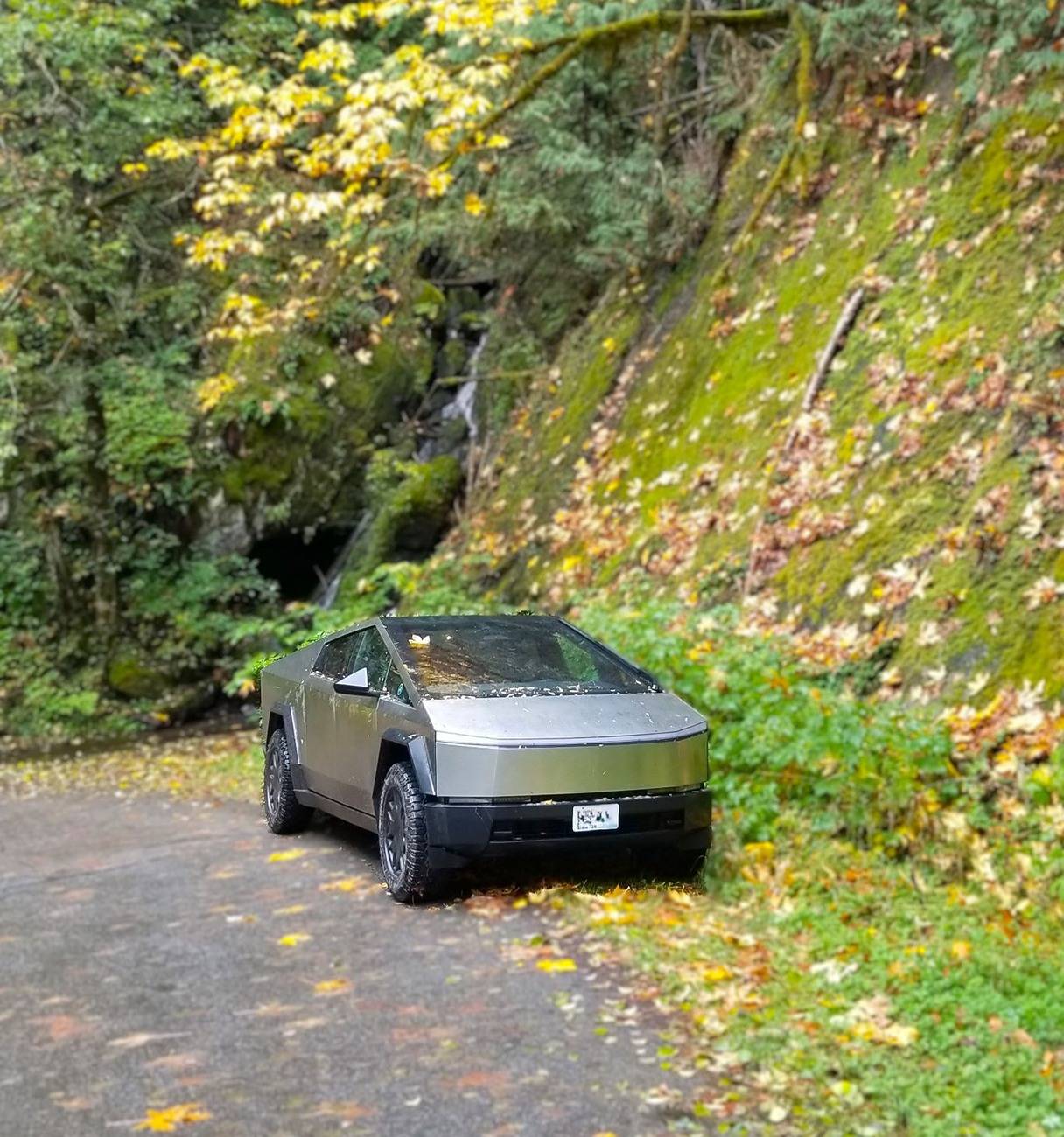 Tesla Cybertruck Show off your Cybertruck in fall colors 20241018_133551adsm