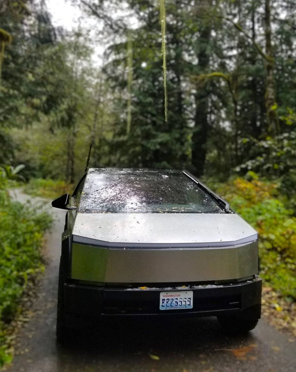 Tesla Cybertruck Show off your Cybertruck in fall colors 20241018_131952adsm