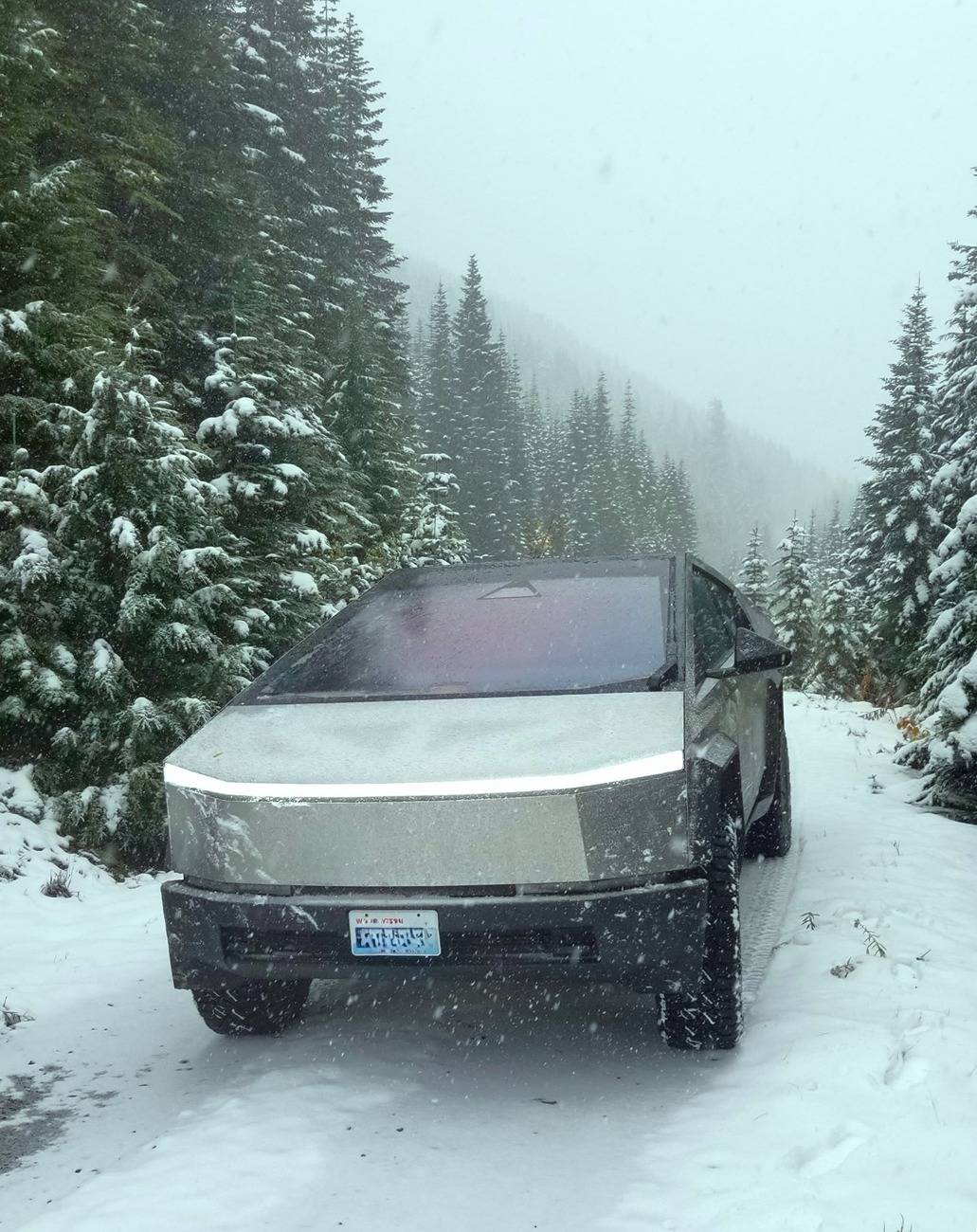Tesla Cybertruck Show off your Cybertruck in fall colors 20241018_110244adsm