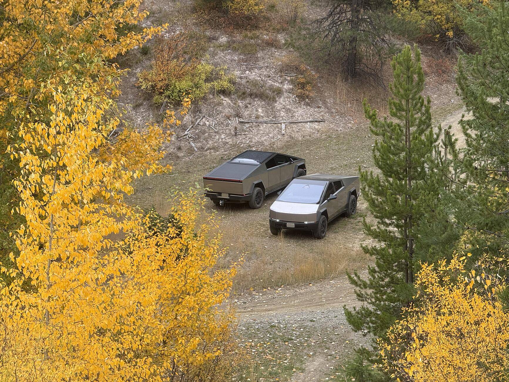 Tesla Cybertruck Show off your Cybertruck in fall colors fall-leaves