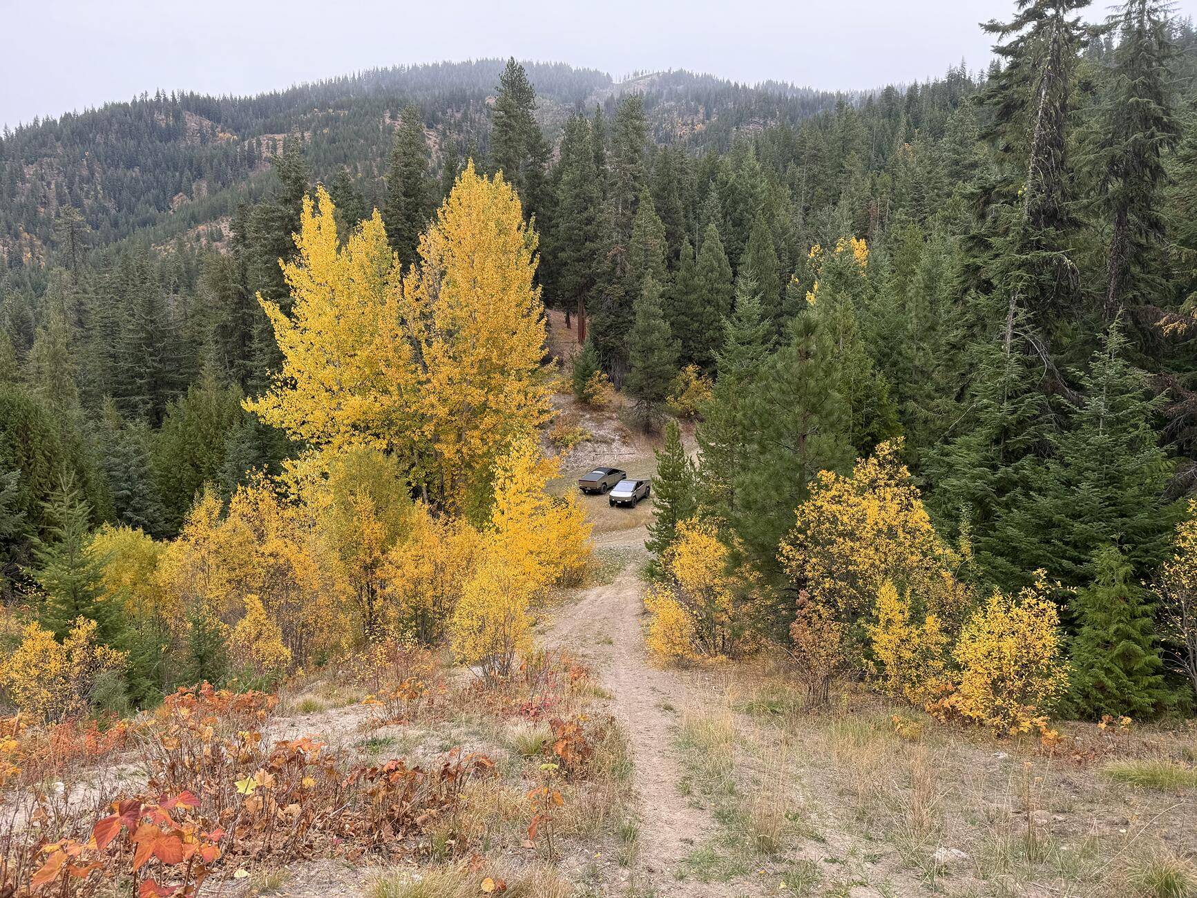 Tesla Cybertruck Show off your Cybertruck in fall colors fall-leaves-wide-angle