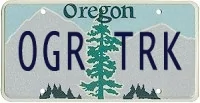 Tesla Cybertruck Custom license plate / vanity plate name for your Cybertruck? license_20210707125911_96879