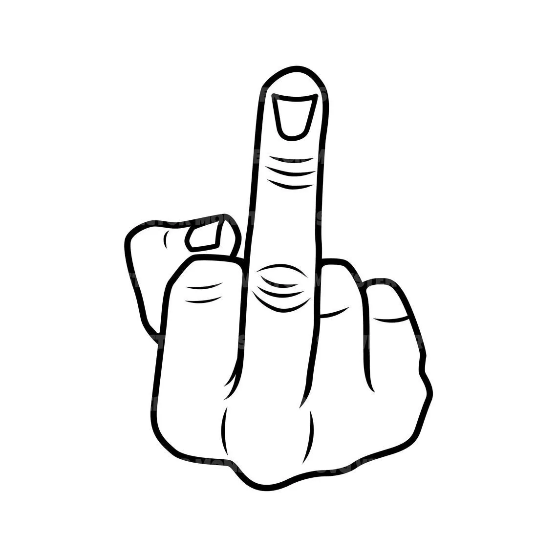 Tesla Cybertruck Tesla Vision Will Soon Capture... Middle Finger