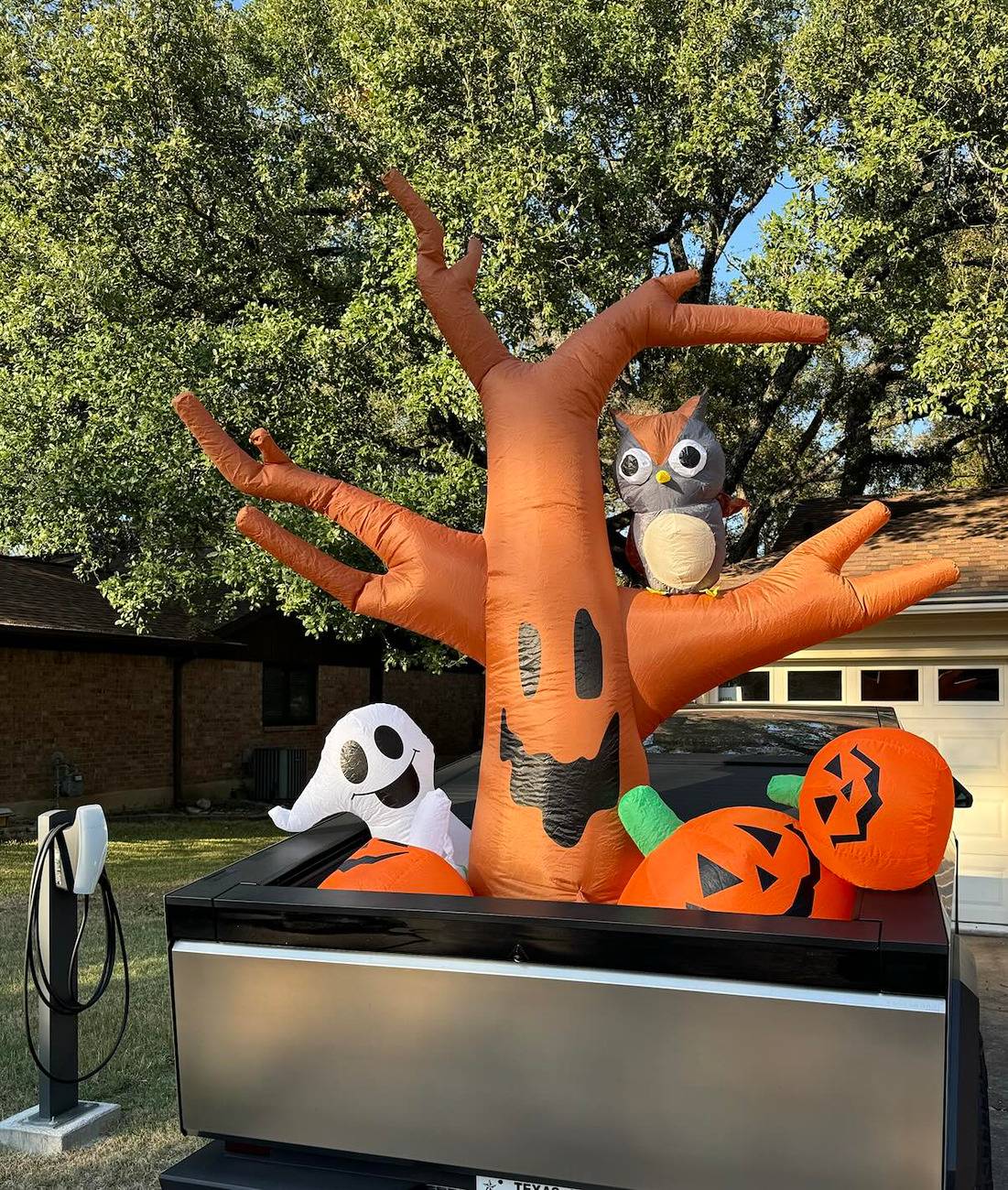 Tesla Cybertruck Cyberbeast ‘tricked’ out with animatronic Cerebrus on Halloween IMG_0522