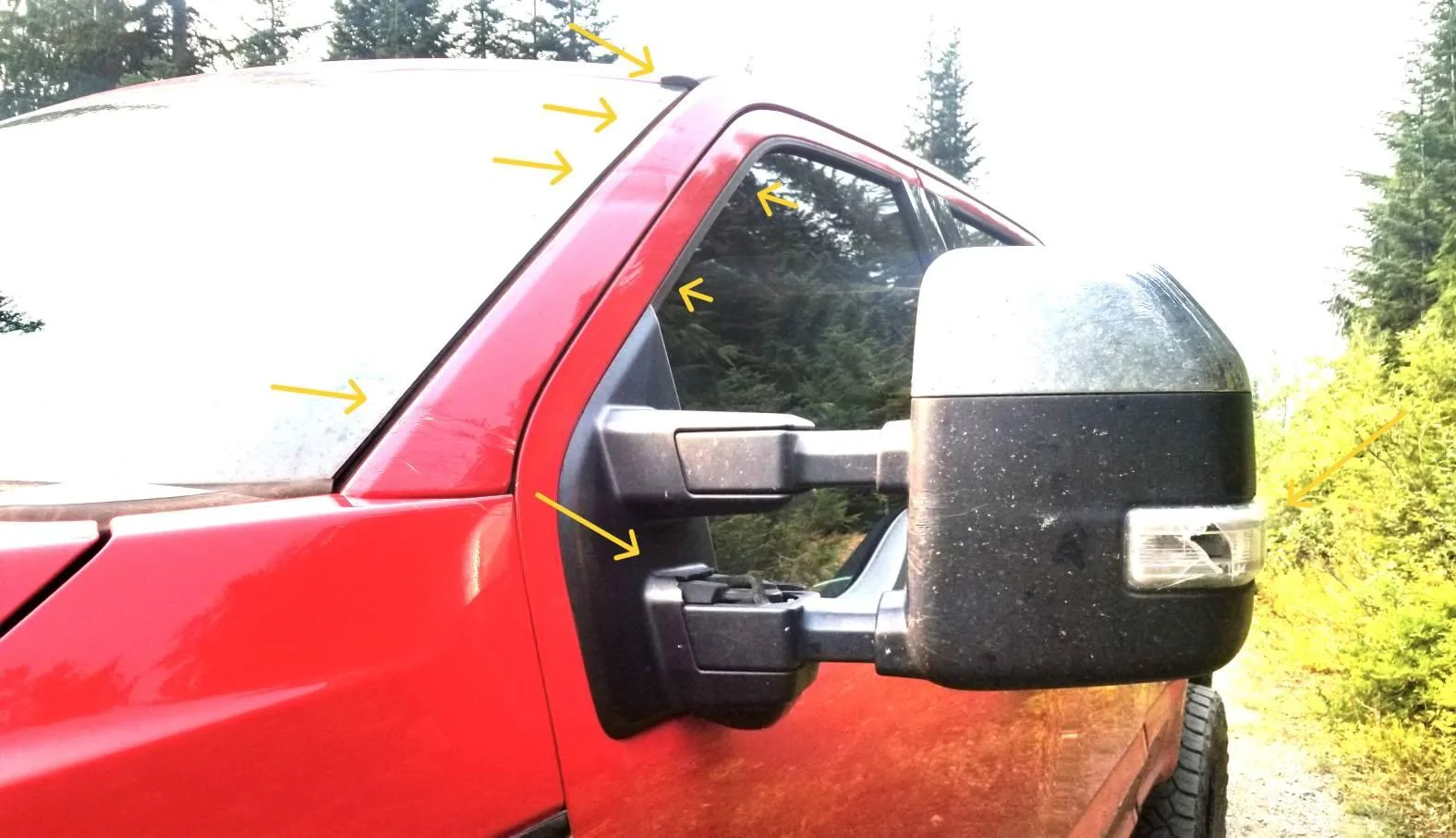 Tesla Cybertruck Bushwhacking - One of the many advantages of no paint & stainless steel (video) 20240907_145937adsm