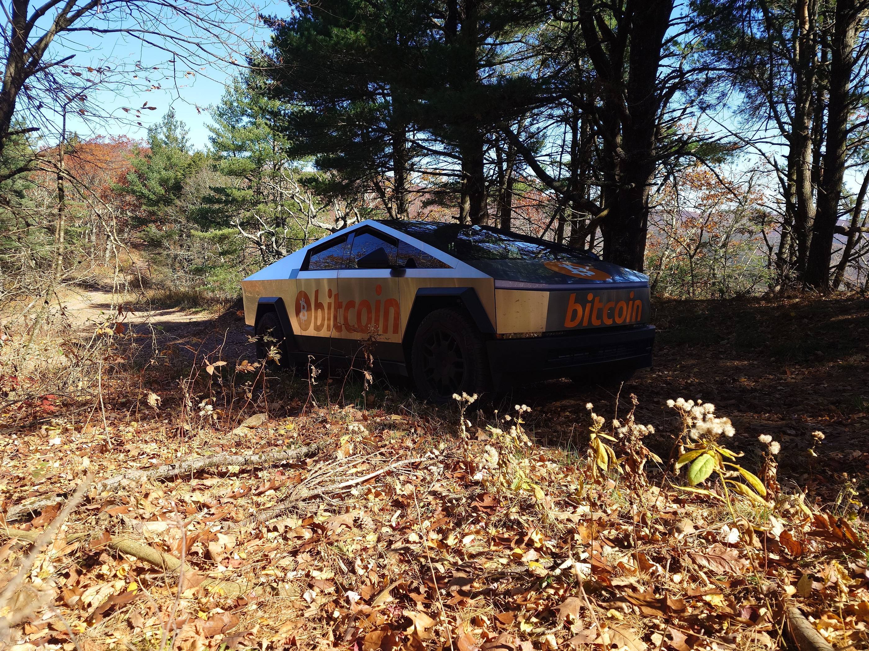 Tesla Cybertruck Keeping Cybertruck clean, do you, or don't you? flagpole_knob_9-