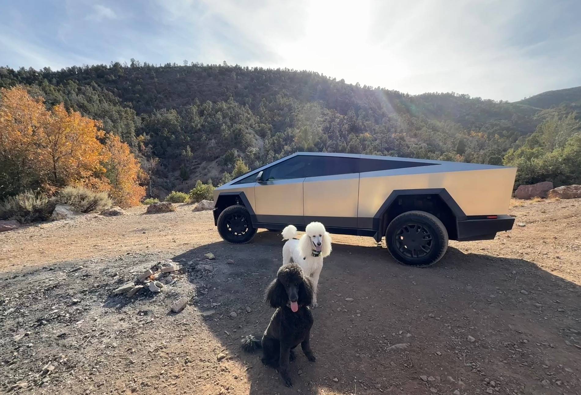 Tesla Cybertruck 📸 Post Your November Cybertruck Photos Here! (RWCev Cybertruck of the Month Giveaway Contest) IMG_1708