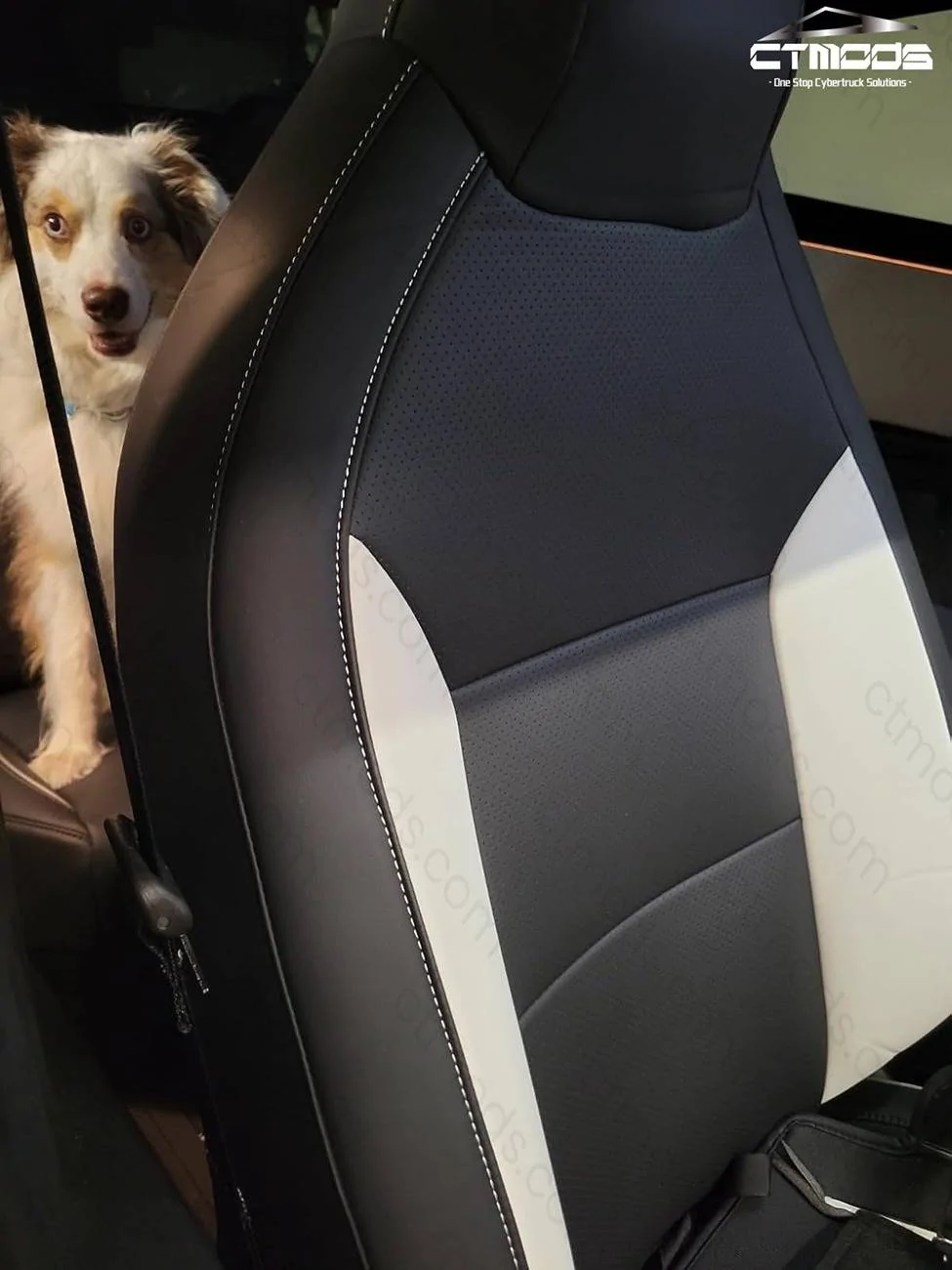 61ae8D-hqLL._SL1600.jpg