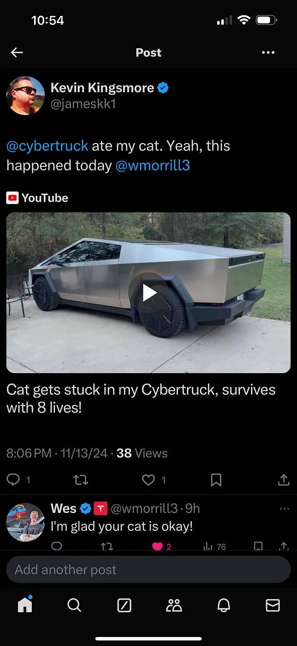 Tesla Cybertruck Cat got stuck in my Cybertruck, survives with 8 lives! - Video added IMG_5020