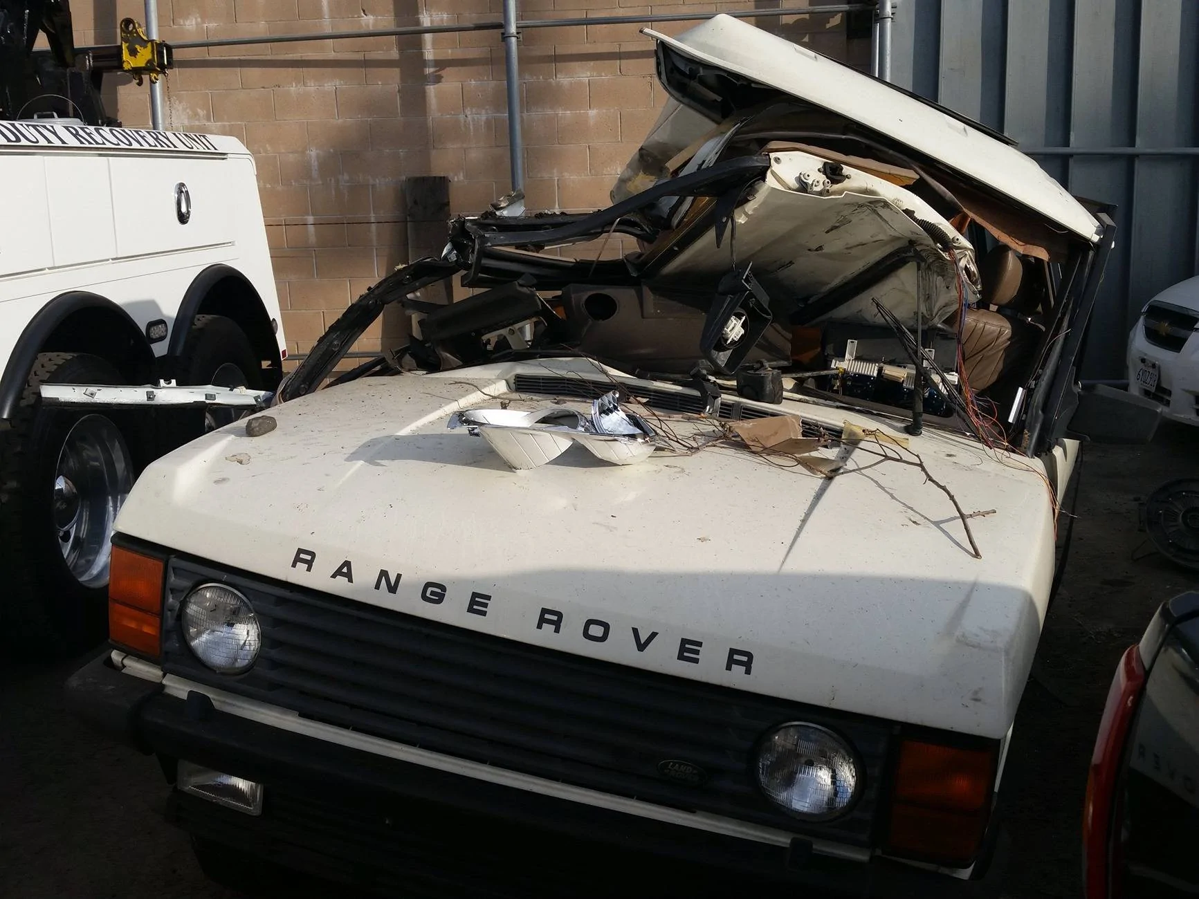 Tesla Cybertruck Cat got stuck in my Cybertruck, survives with 8 lives! - Video added 2014-11-12 15.08.21