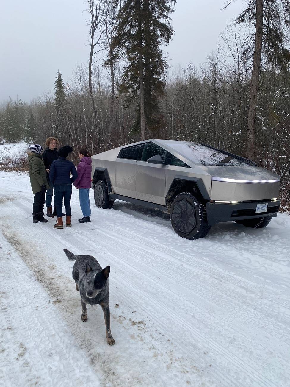 Tesla Cybertruck Daily random Cybertruck photos thread - Post Yours! 📸 🤳 IMG_3445
