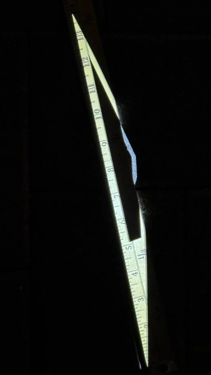 IMG_2031.jpeg