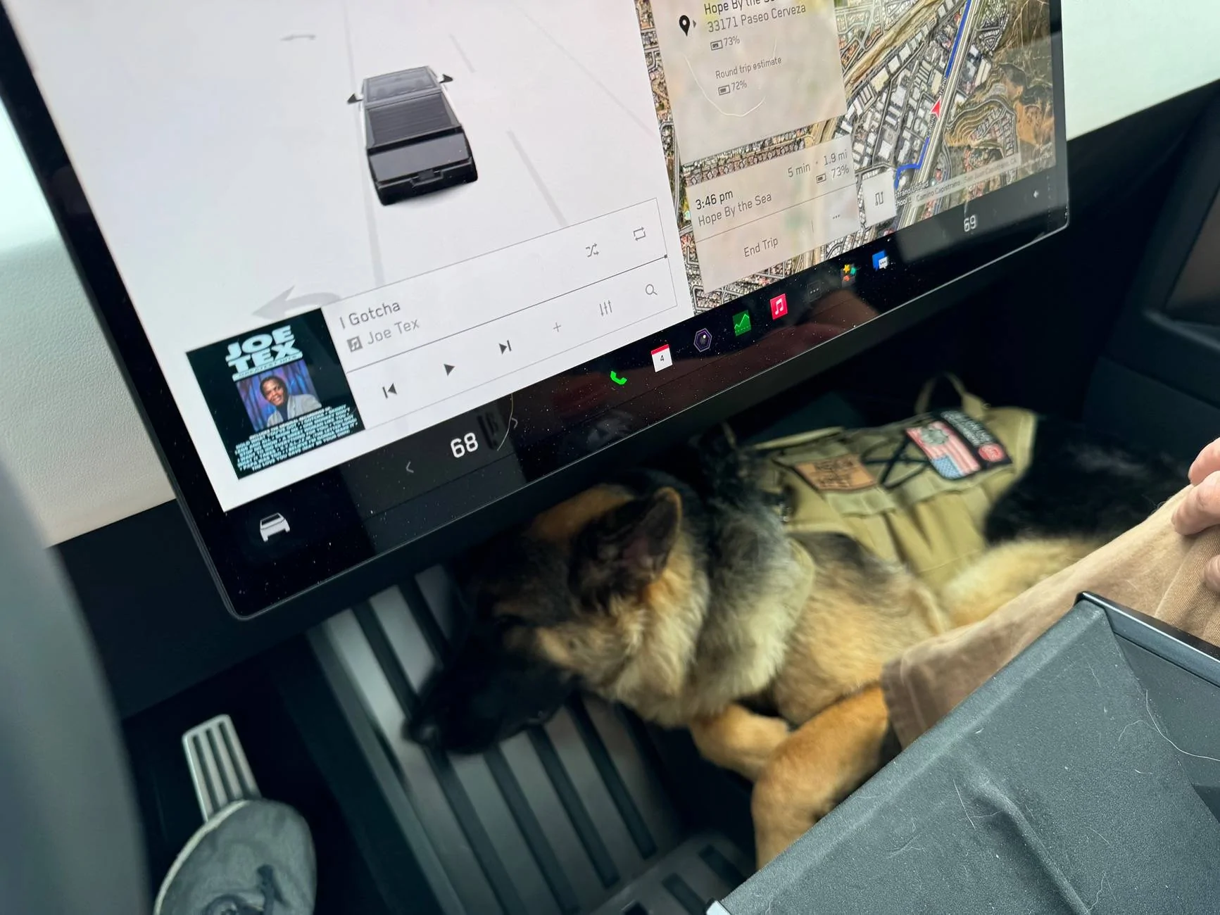 Tesla Cybertruck Cybertruck is awesome for Dogs IMG_0490