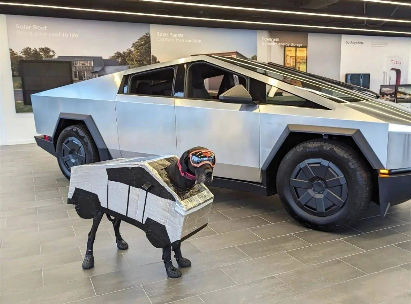 Tesla Cybertruck Daily random Cybertruck photos thread - Post Yours! 📸 🤳 469278954_3782463098694484_2712198301655510325_n