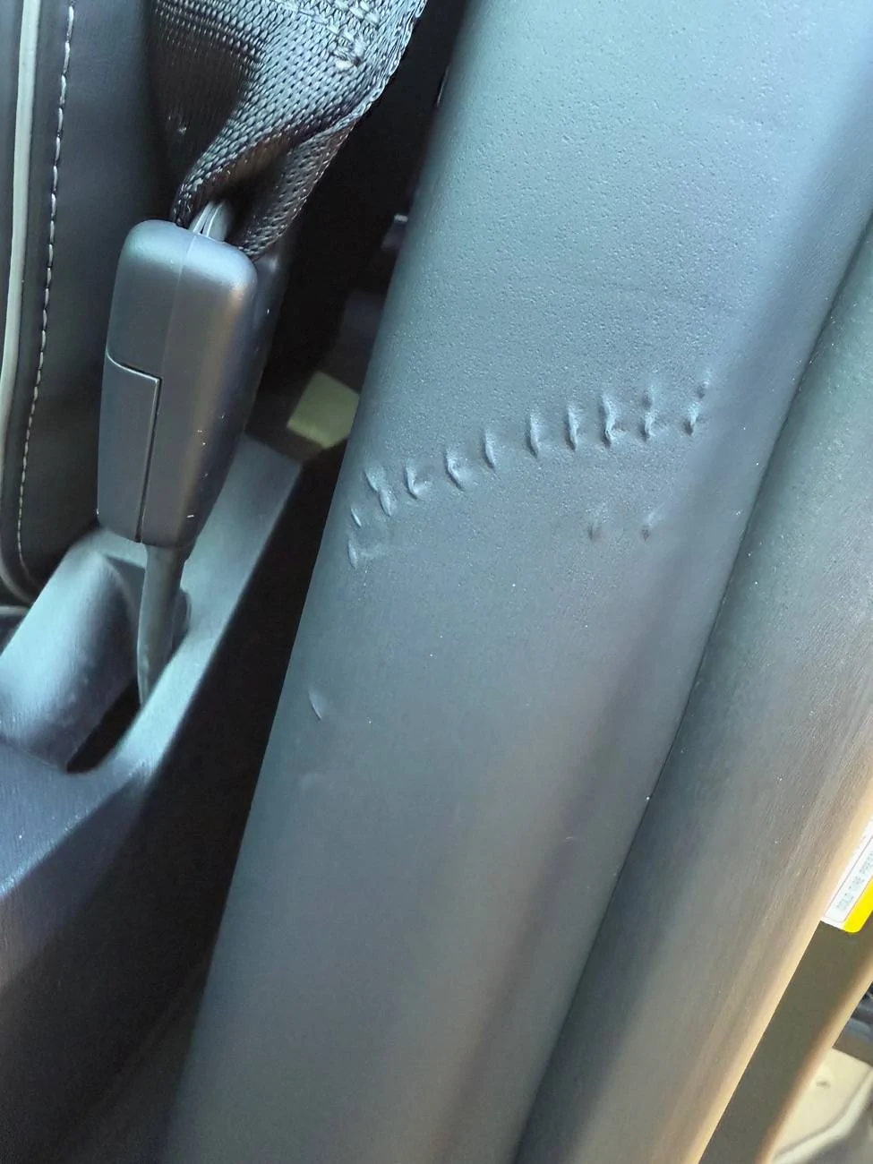 Tesla Cybertruck Interior damage - staples marks IMG_1496