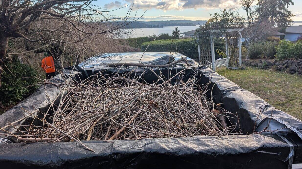 Tesla Cybertruck Nice Truck Bed Tarp for Hauling 1733898643536-fm