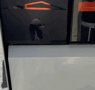 4B2A8776-8B04-4460-9791-87788DB84C5A.gif