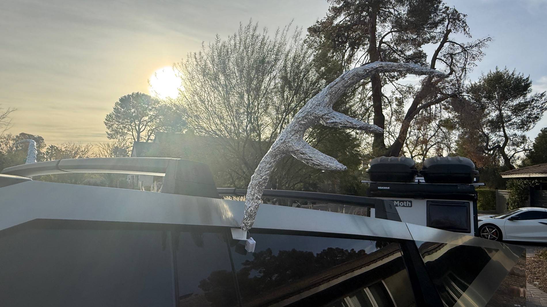Tesla Cybertruck 🦌Cyber Antlers! - Alpha Build IMG_2545