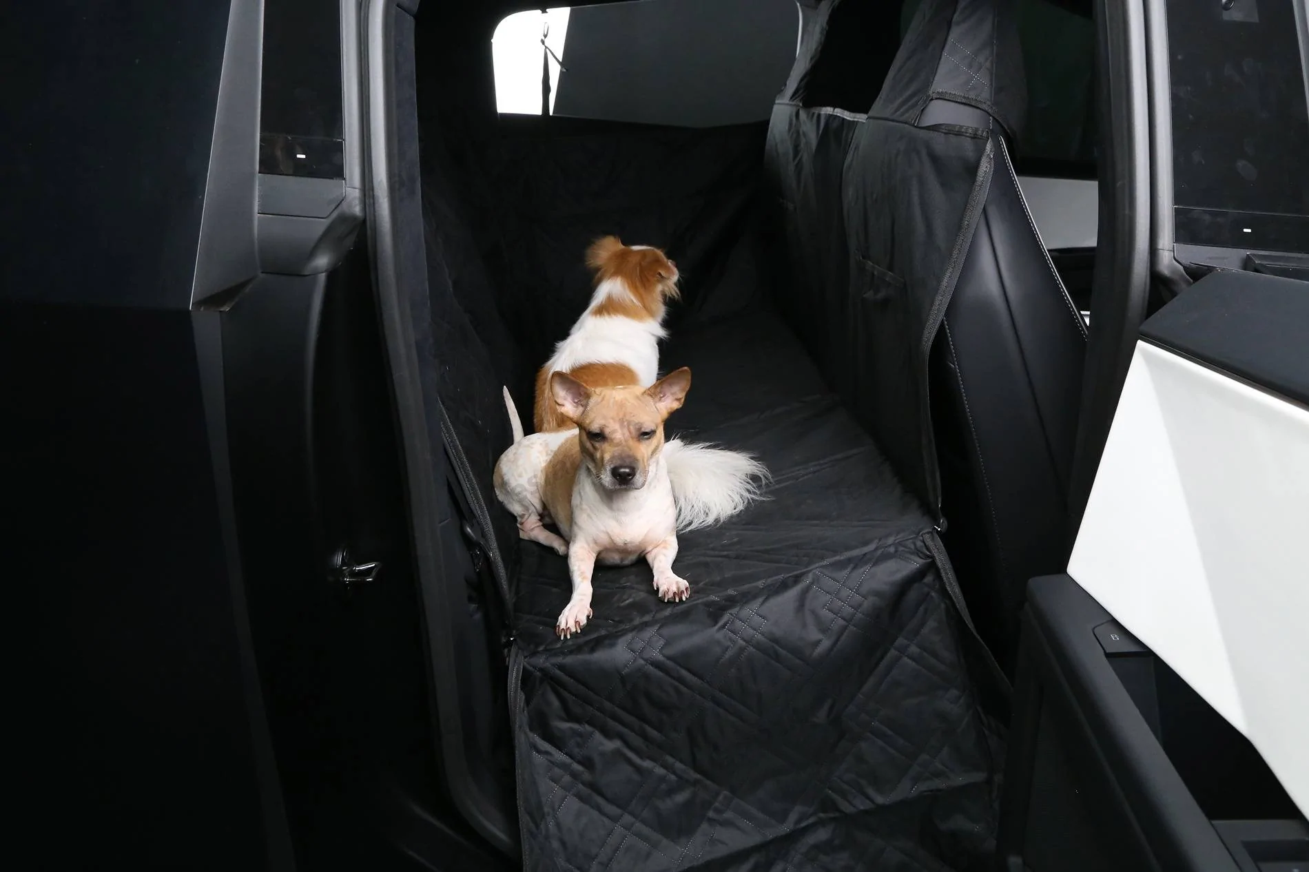 Tesla Cybertruck Share Your Pet's Adorable Moments in the Cybertruck 🐾🚙-Teslaunch Rear Seat Full-Cover Pet Liner For Cybertruck IMG_2634-4