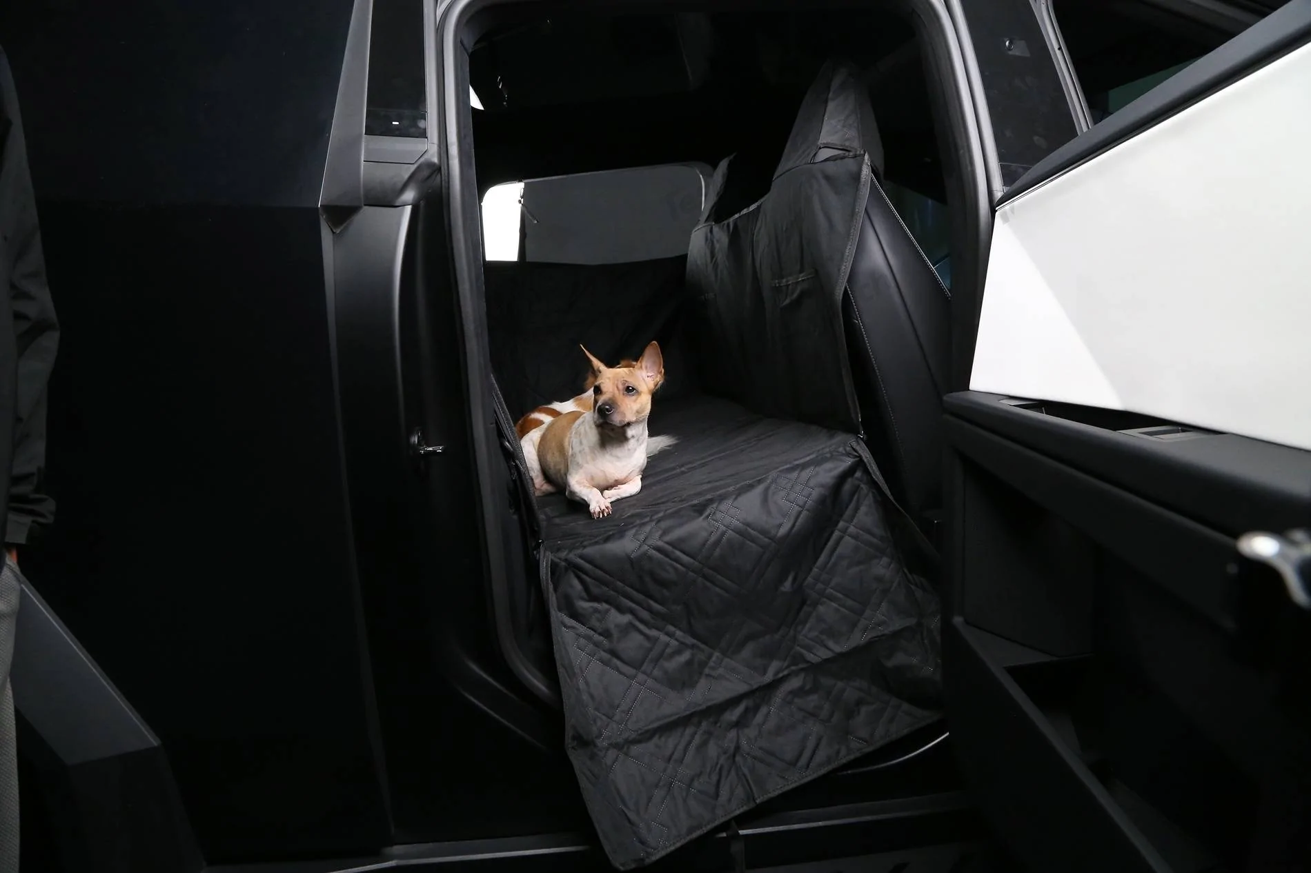 Tesla Cybertruck Share Your Pet's Adorable Moments in the Cybertruck 🐾🚙-Teslaunch Rear Seat Full-Cover Pet Liner For Cybertruck IMG_2634-2