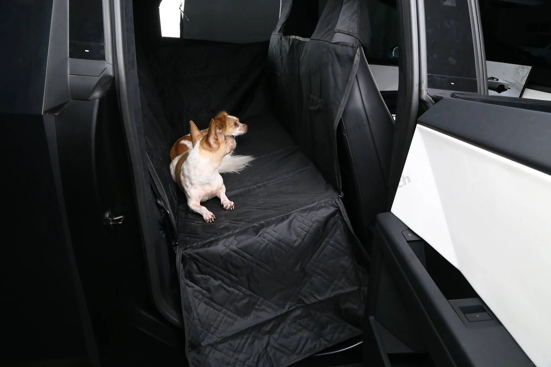 Tesla Cybertruck Share Your Pet's Adorable Moments in the Cybertruck 🐾🚙-Teslaunch Rear Seat Full-Cover Pet Liner For Cybertruck IMG_2634-3