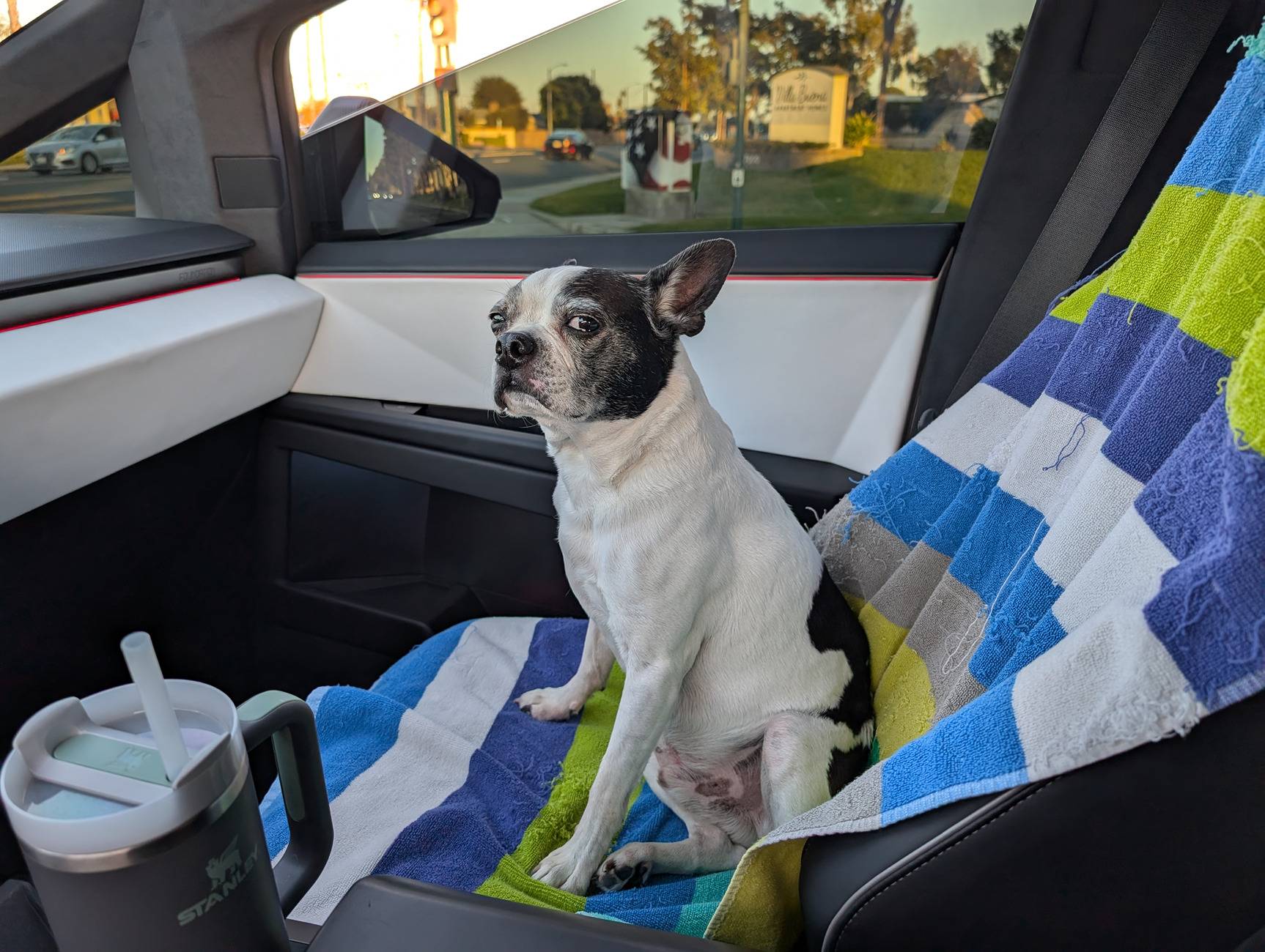 Tesla Cybertruck Share Your Pet's Adorable Moments in the Cybertruck 🐾🚙-Teslaunch Rear Seat Full-Cover Pet Liner For Cybertruck PXL_20241104_003619126