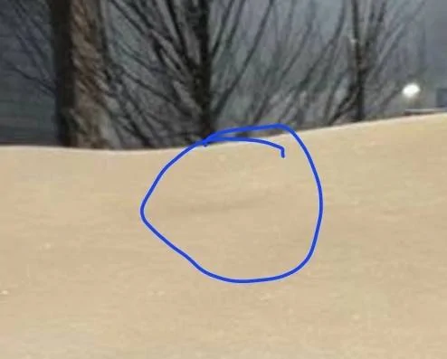Tesla Cybertruck Does Cybertruck Windshield Camera have heaters for Sentry Mode? #NoVA Screenshot_20250106_212207_Samsung captur