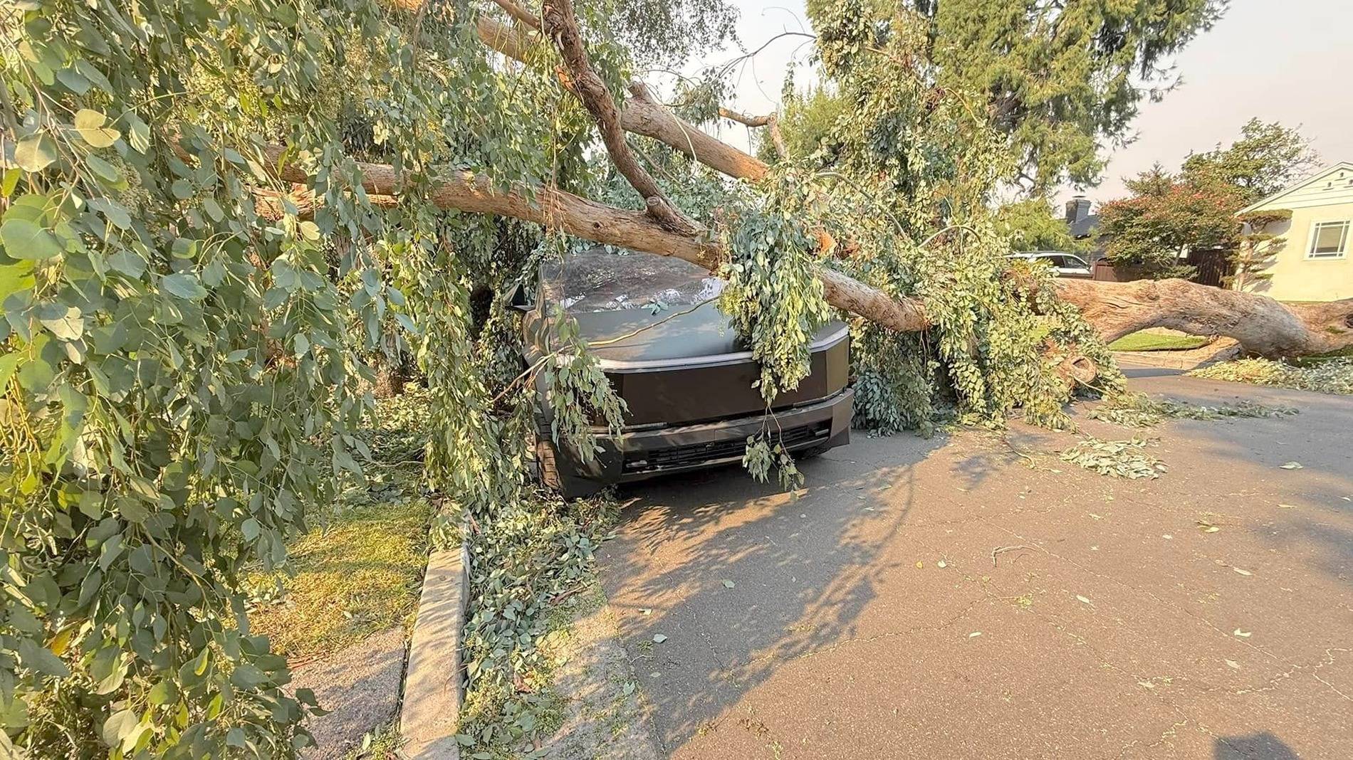 Tesla Cybertruck Cybertruck crushed by huge tree in Socal windstorm but still driveable 472708592_10233790924258987_3835040555098008501_n (1)
