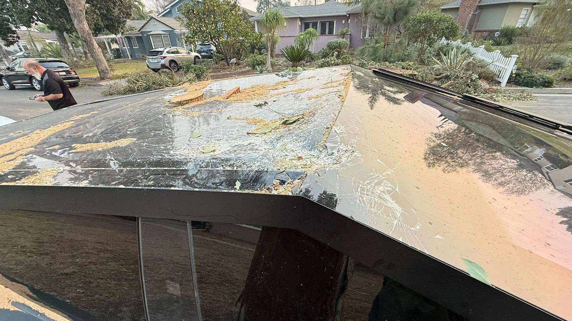 Tesla Cybertruck Cybertruck crushed by huge tree in Socal windstorm but still driveable 473222329_10233790924458992_1663331812683586819_n