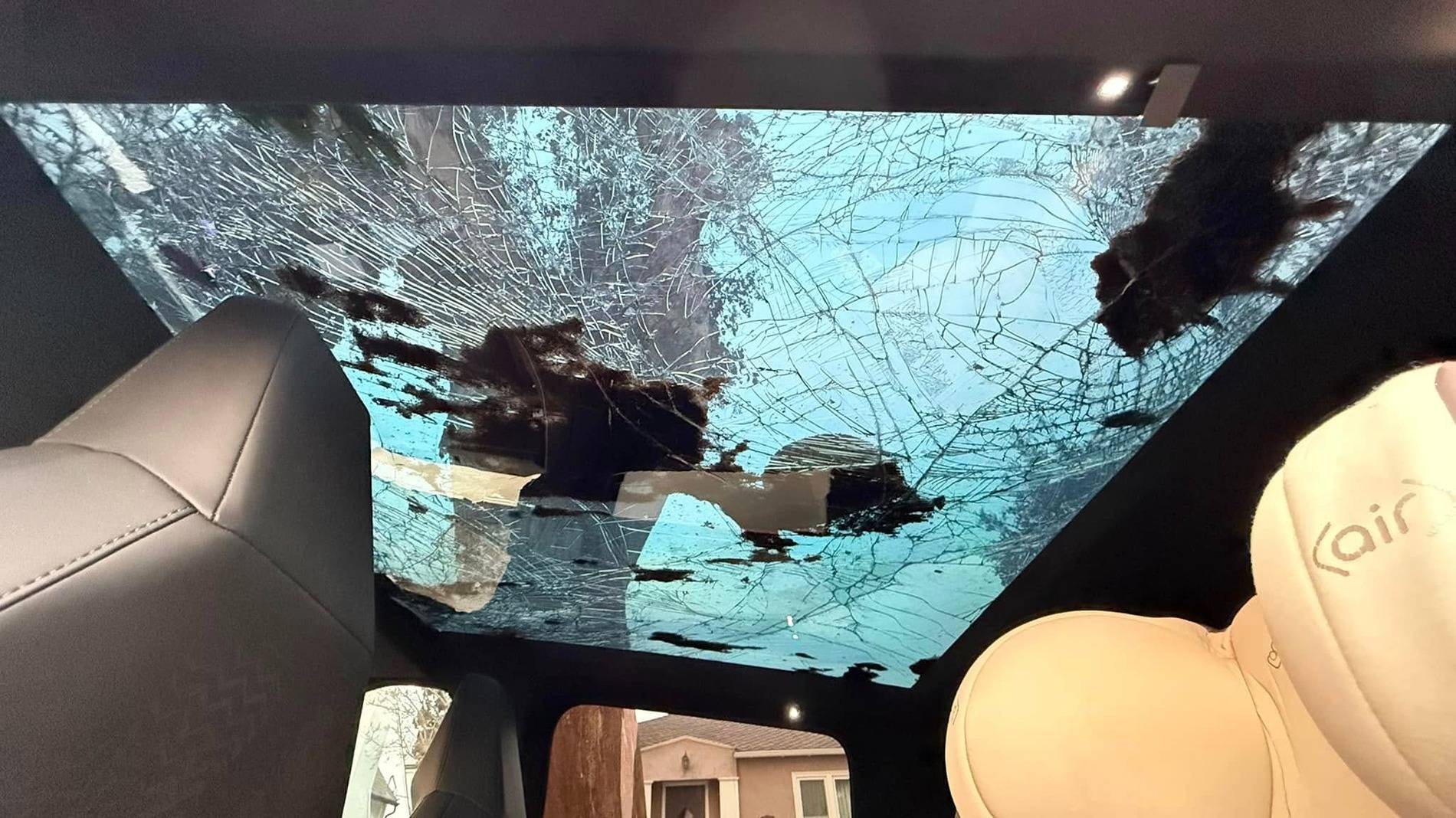 Tesla Cybertruck Cybertruck crushed by huge tree in Socal windstorm but still driveable 472797422_10233790924538994_8381869346385328116_n
